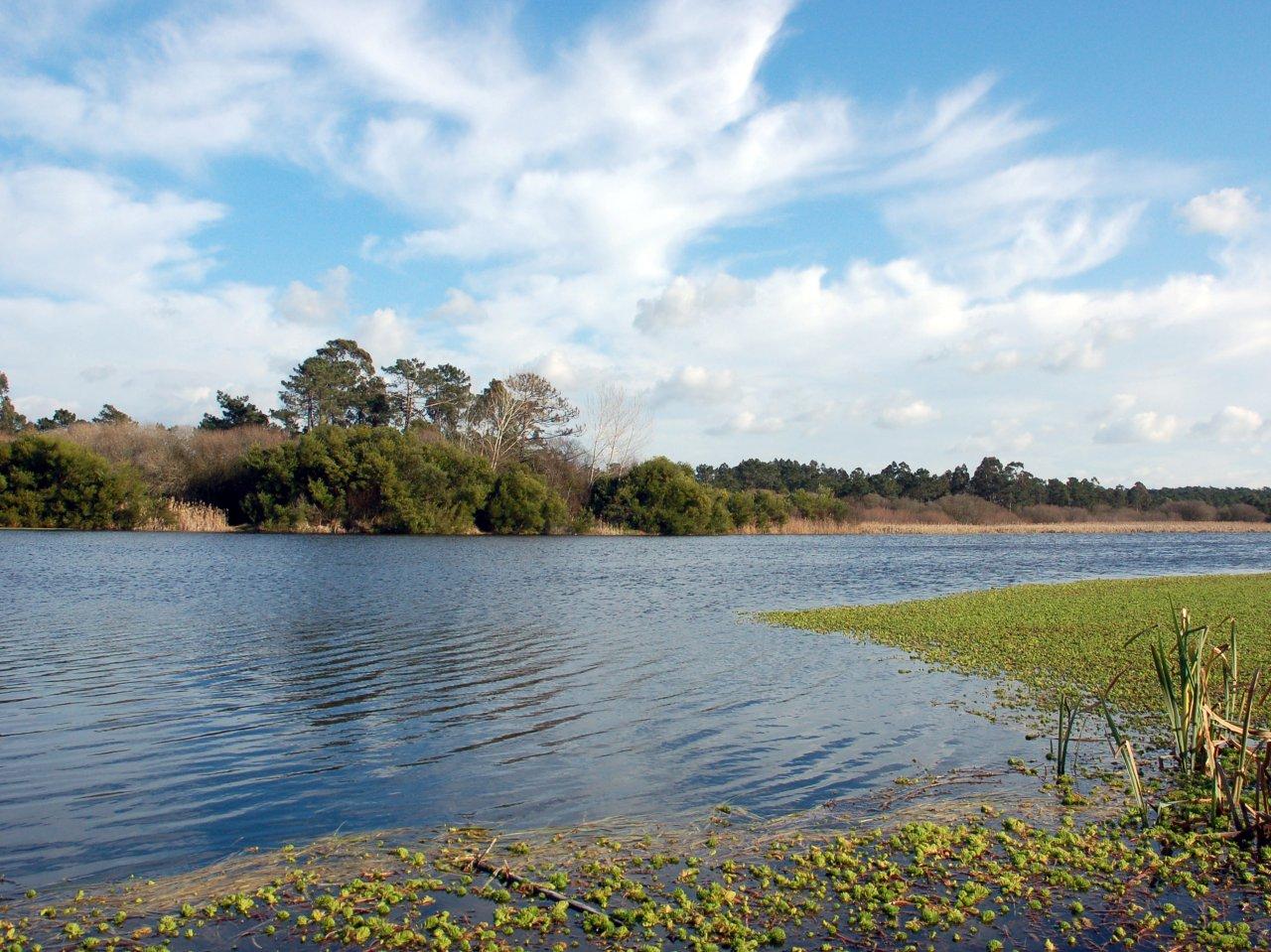 Teixoeiros or Mata Lagoon